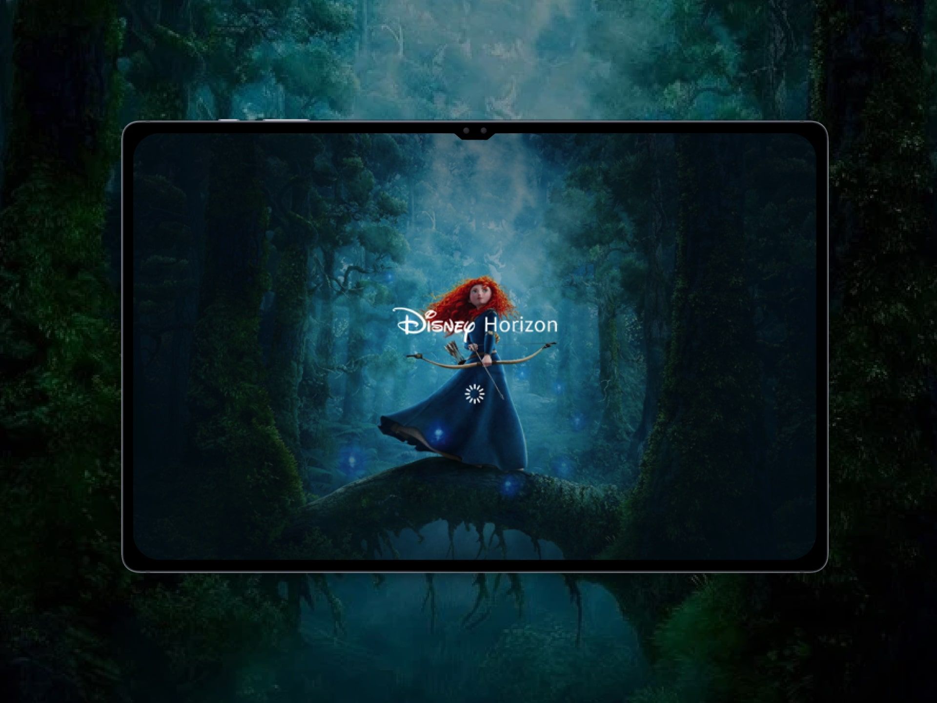 Disney Country Website