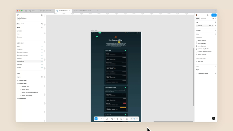 NexEd, Figma Variables